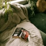 Stephen king book IT en cama